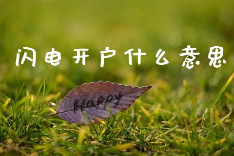 闪电开户什么意思_https://cj002.lansai.wang_财经问答_第1张
