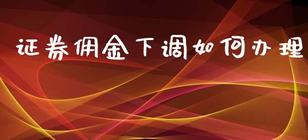证券佣金下调如何办理_https://cj002.lansai.wang_股市问答_第1张
