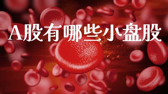 A股有哪些小盘股_https://cj002.lansai.wang_理财问答_第1张