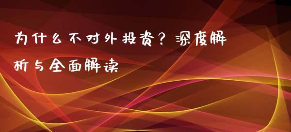 为什么不对外投资？深度解析与全面解读_https://cj002.lansai.wang_财经百问_第1张