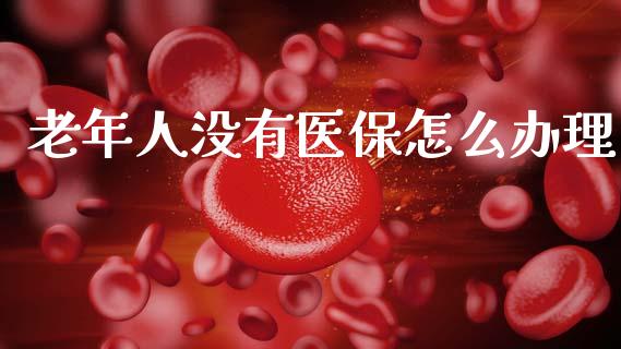 老年人没有医保怎么办理_https://cj002.lansai.wang_保险问答_第1张