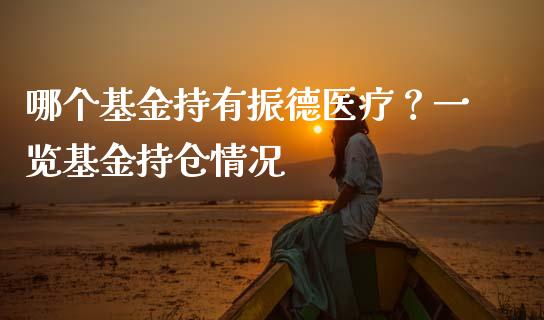 哪个基金持有振德医疗?一览基金持仓情况_财经问答_第1张_财经百问网 哪个基金持有振德医疗?一览基金持仓情况_https://cj002.lansai.wang_财经问答_第1张