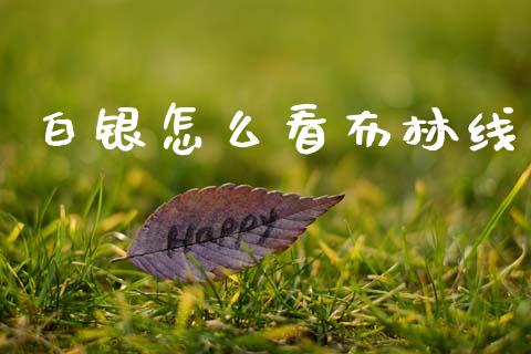 白银怎么看布林线_会计问答_第1张_财经百问网 白银怎么看布林线_https://cj002.lansai.wang_会计问答_第1张
