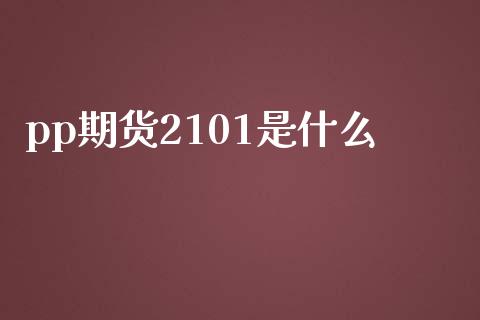 pp期货2101是什么_财经问答_第1张_财经百问网 pp期货2101是什么_https://cj002.lansai.wang_财经问答_第1张
