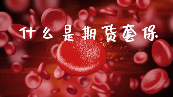 什么是期货套保_财经问答_第1张_财经百问网 什么是期货套保_https://cj002.lansai.wang_财经问答_第1张