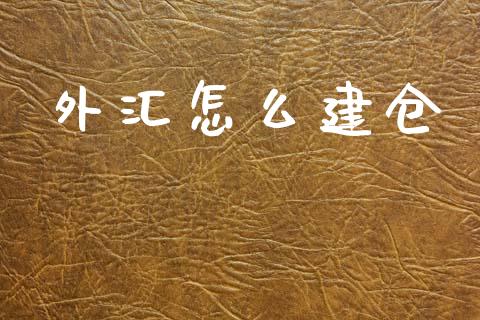 外汇怎么建仓_https://cj002.lansai.wang_财经问答_第1张