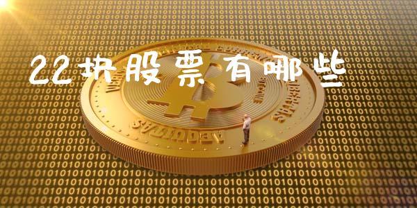 22块股票有哪些_https://cj002.lansai.wang_股市问答_第1张