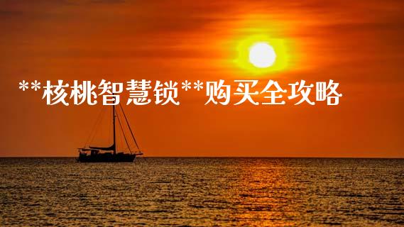 **核桃智慧锁**购买全攻略_https://cj002.lansai.wang_财经问答_第1张