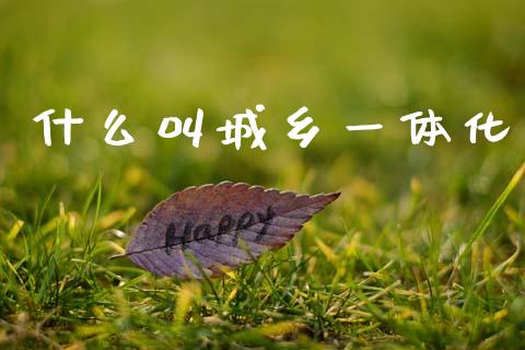 什么叫城乡一体化_财经问答_第1张_财经百问网 什么叫城乡一体化_https://cj002.lansai.wang_财经问答_第1张