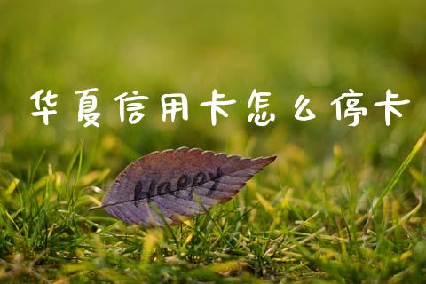 华夏信用卡怎么停卡_https://cj002.lansai.wang_金融问答_第1张