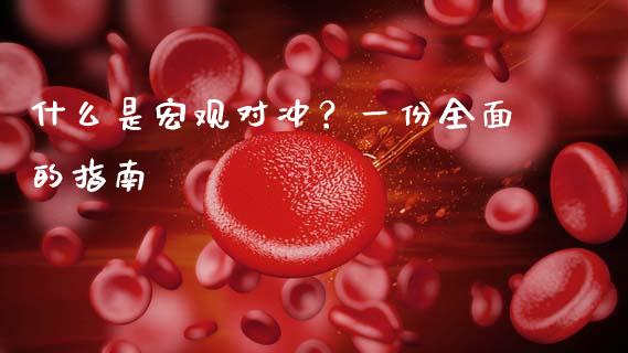 什么是宏观对冲?一份全面的指南_会计问答_第1张_财经百问网 什么是宏观对冲?一份全面的指南_https://cj002.lansai.wang_会计问答_第1张