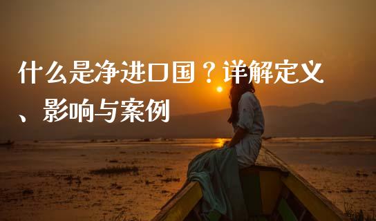 什么是净进口国？详解定义、影响与案例_https://cj002.lansai.wang_会计问答_第1张