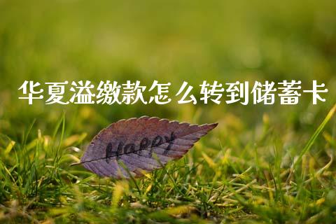 华夏溢缴款怎么转到储蓄卡_https://cj002.lansai.wang_金融问答_第1张