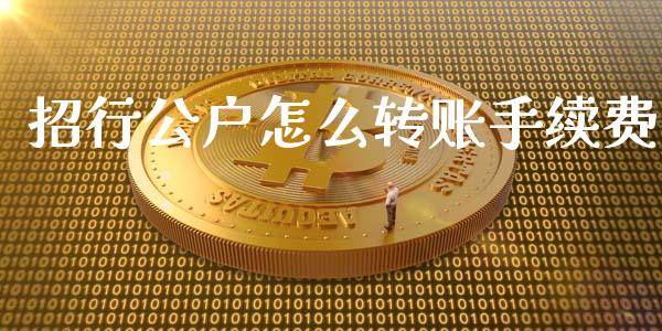 招行公户怎么转账手续费_https://cj002.lansai.wang_金融问答_第1张