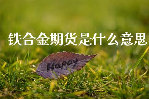 铁合金期货是什么意思_https://cj002.lansai.wang_期货问答_第1张