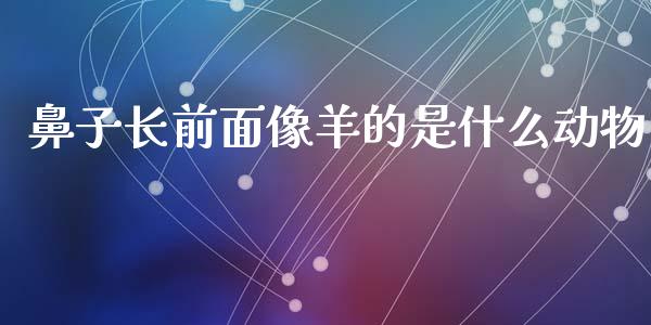 鼻子长前面像羊的是什么动物_https://cj002.lansai.wang_股市问答_第1张