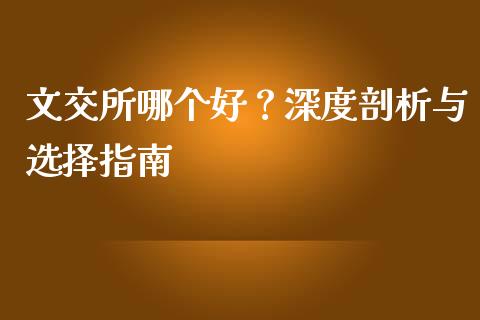 文交所哪个好？深度剖析与选择指南_https://cj002.lansai.wang_会计问答_第1张