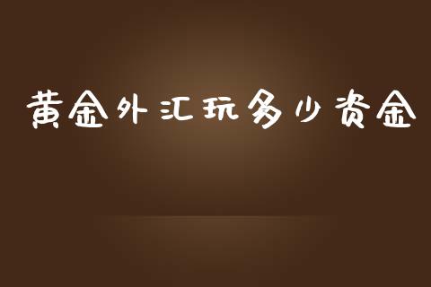 黄金外汇玩多少资金_https://cj002.lansai.wang_期货问答_第1张