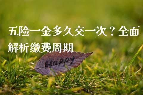 五险一金多久交一次？全面解析缴费周期_https://cj002.lansai.wang_股市问答_第1张
