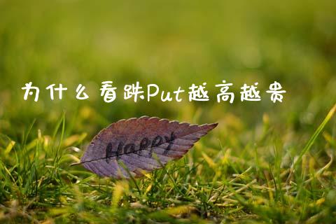 为什么看跌Put越高越贵_https://cj002.lansai.wang_保险问答_第1张