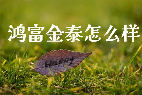 鸿富金泰怎么样_https://cj002.lansai.wang_财经问答_第1张