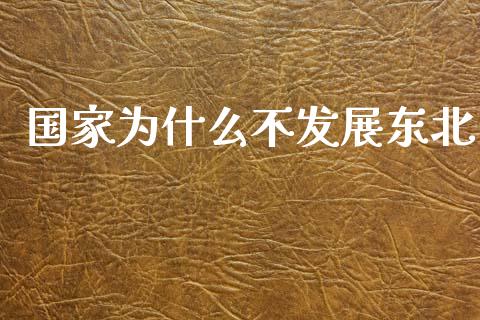 国家为什么不发展东北_https://cj002.lansai.wang_财经问答_第1张