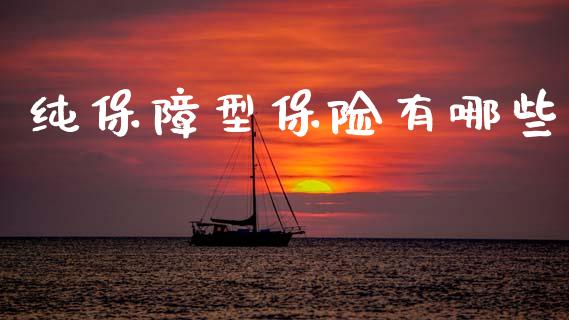 纯保障型保险有哪些_https://cj002.lansai.wang_财经百问_第1张