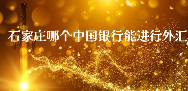 石家庄哪个中国银行能进行外汇_https://cj002.lansai.wang_财经问答_第1张