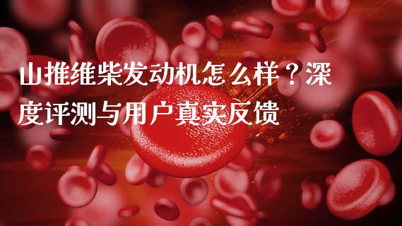 山推维柴发动机怎么样？深度评测与用户真实反馈_https://cj002.lansai.wang_金融问答_第1张