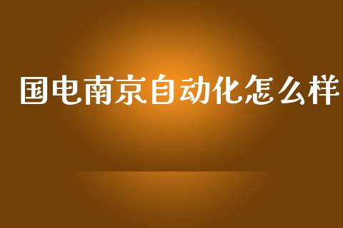 国电南京自动化怎么样_https://cj002.lansai.wang_股市问答_第1张