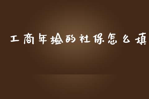 工商年检的社保怎么填_https://cj002.lansai.wang_保险问答_第1张