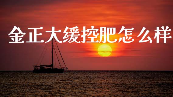 金正大缓控肥怎么样_https://cj002.lansai.wang_财经百问_第1张
