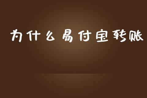 为什么易付宝转账_https://cj002.lansai.wang_期货问答_第1张