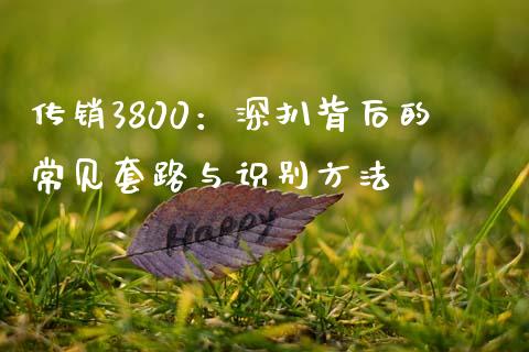 传销3800：深扒背后的常见套路与识别方法_https://cj002.lansai.wang_股市问答_第1张