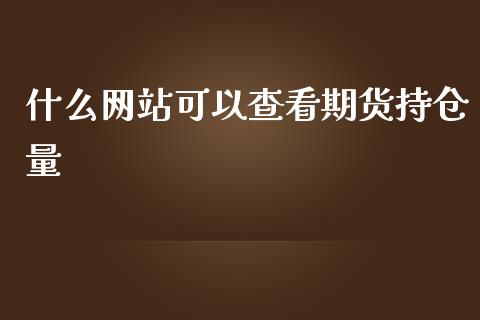 什么网站可以查看期货持仓量_https://cj002.lansai.wang_金融问答_第1张