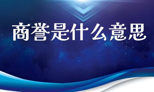 商誉是什么意思_https://cj002.lansai.wang_会计问答_第1张
