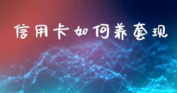 信用卡如何养套现_https://cj002.lansai.wang_理财问答_第1张