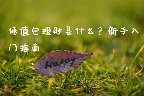 储值包理财是什么？新手入门指南_https://cj002.lansai.wang_财经百问_第1张