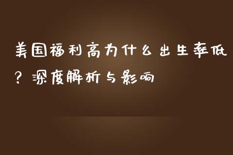 美国福利高为什么出生率低？深度解析与影响_https://cj002.lansai.wang_财经问答_第1张