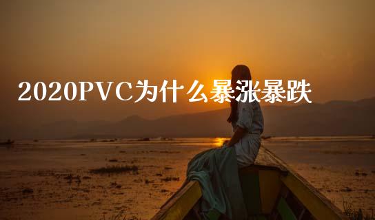 2020PVC为什么暴涨暴跌_https://cj002.lansai.wang_保险问答_第1张