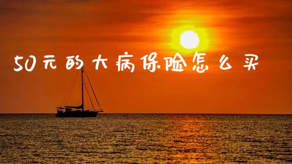 50元的大病保险怎么买_https://cj002.lansai.wang_保险问答_第1张