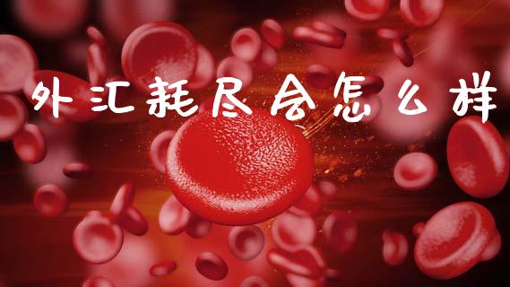 外汇耗尽会怎么样_https://cj002.lansai.wang_财经问答_第1张