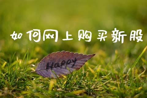 如何网上购买新股_https://cj002.lansai.wang_金融问答_第1张