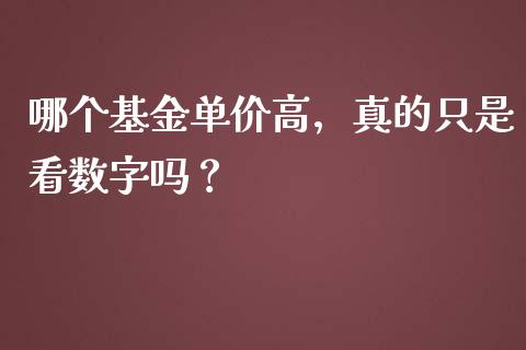 哪个基金单价高，真的只是看数字吗？_https://cj002.lansai.wang_财经百问_第1张