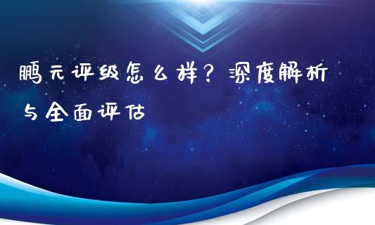 鹏元评级怎么样?深度解析与全面评估_保险问答_第1张_财经百问网 鹏元评级怎么样?深度解析与全面评估_https://cj002.lansai.wang_保险问答_第1张