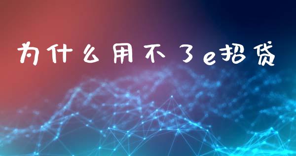 为什么用不了e招贷_https://cj002.lansai.wang_理财问答_第1张