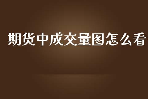 期货中成交量图怎么看_https://cj002.lansai.wang_会计问答_第1张