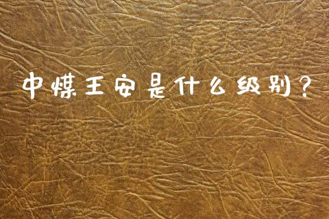 中煤王安是什么级别？_https://cj002.lansai.wang_保险问答_第1张
