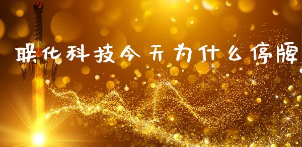 联化科技今天为什么停牌_https://cj002.lansai.wang_金融问答_第1张