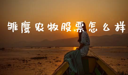 雏鹰农牧股票怎么样_https://cj002.lansai.wang_理财问答_第1张